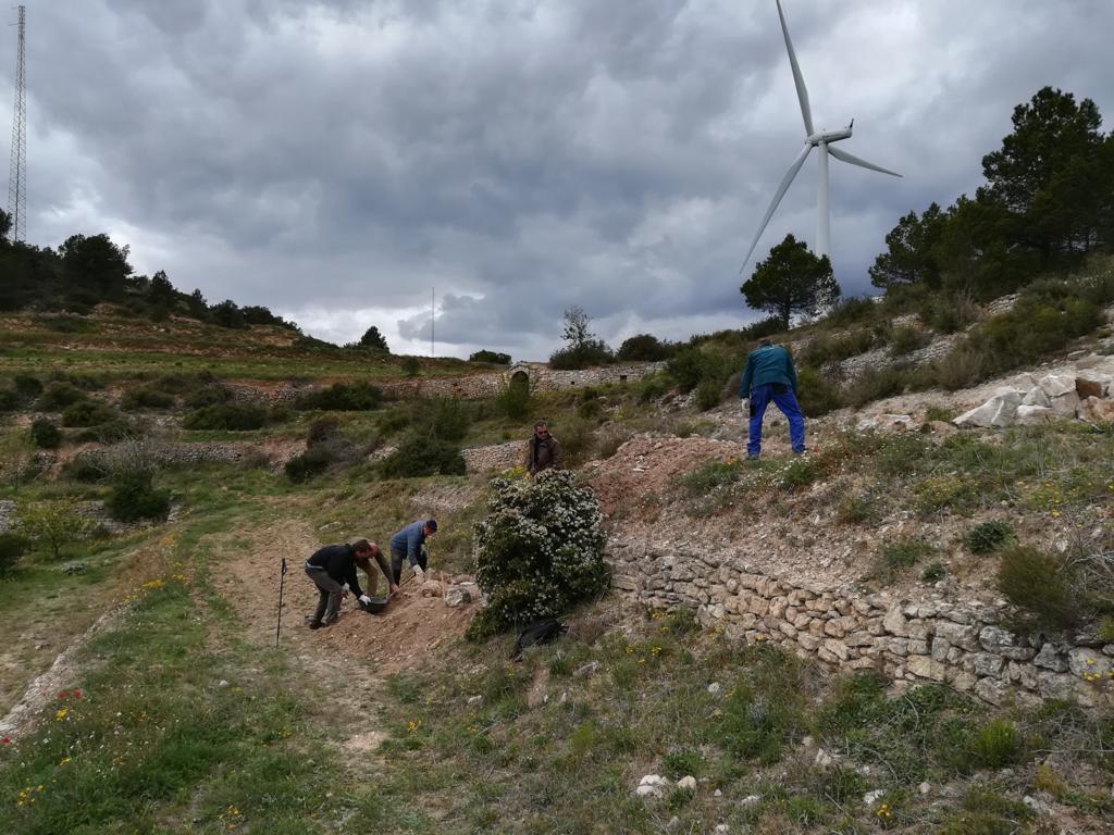 Cursos de pedra seca